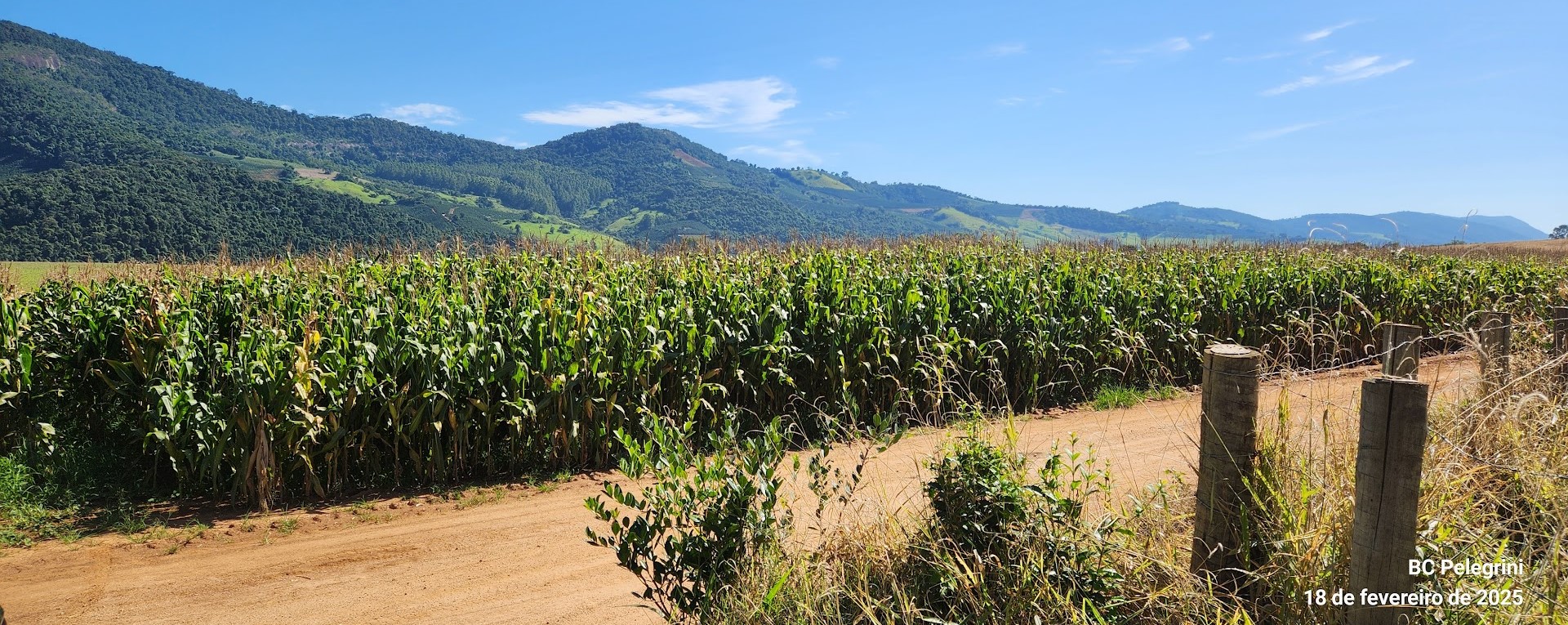 Fazenda à venda com 1 quarto, 1640000m² - Foto 1
