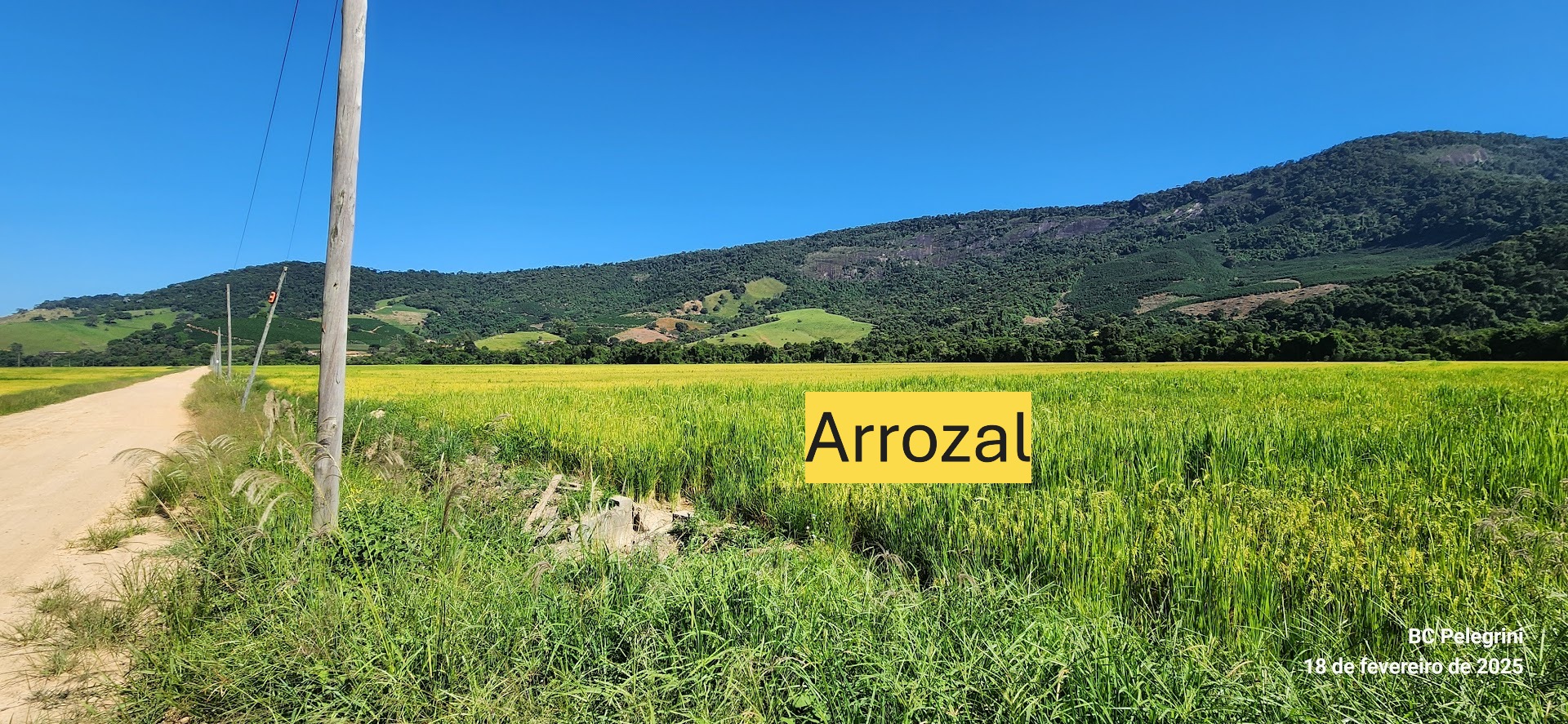 Fazenda à venda com 1 quarto, 1640000m² - Foto 3