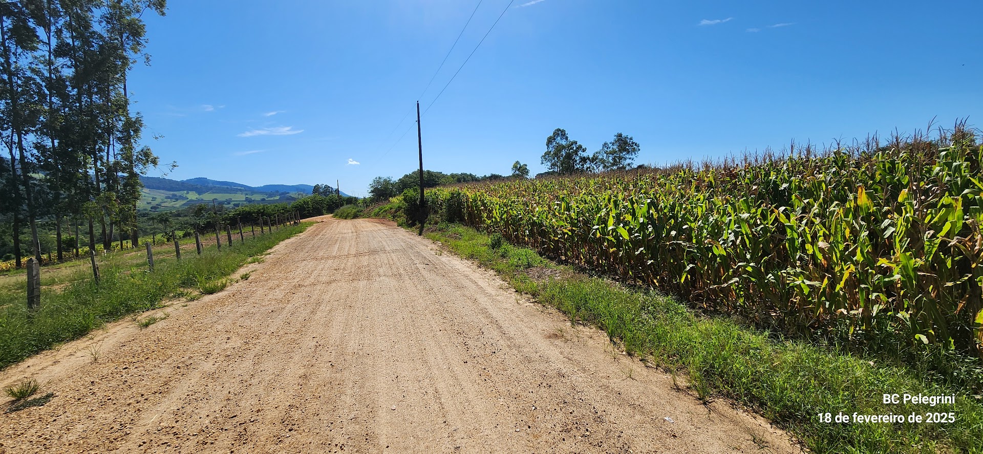 Fazenda à venda com 1 quarto, 1640000m² - Foto 8