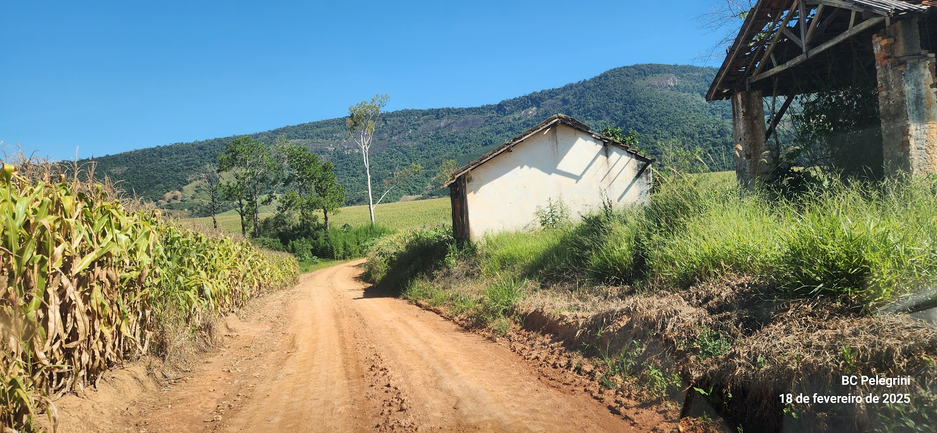 Fazenda à venda com 1 quarto, 1640000m² - Foto 4