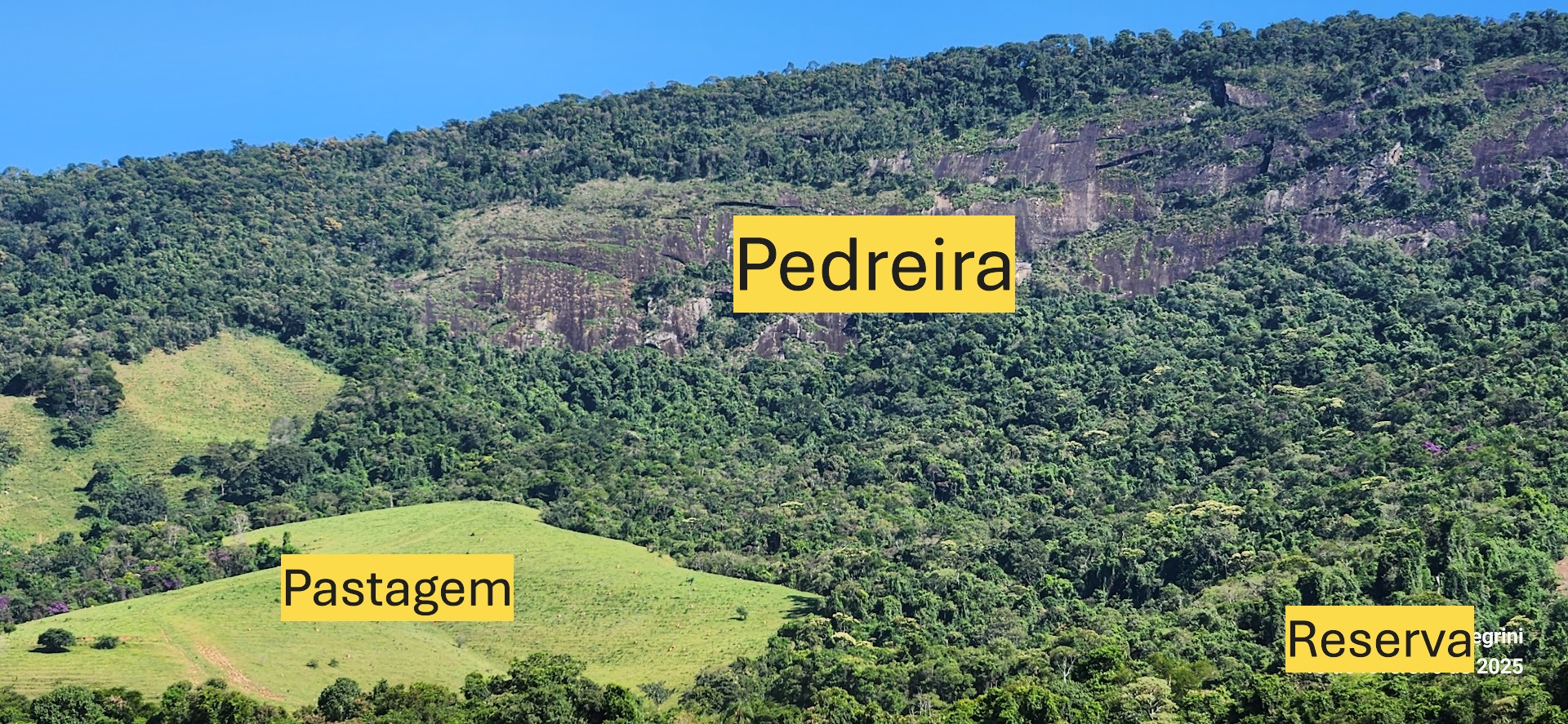 Fazenda à venda com 1 quarto, 1640000m² - Foto 11