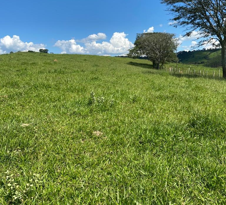 Fazenda à venda com 1 quarto, 1640000m² - Foto 24