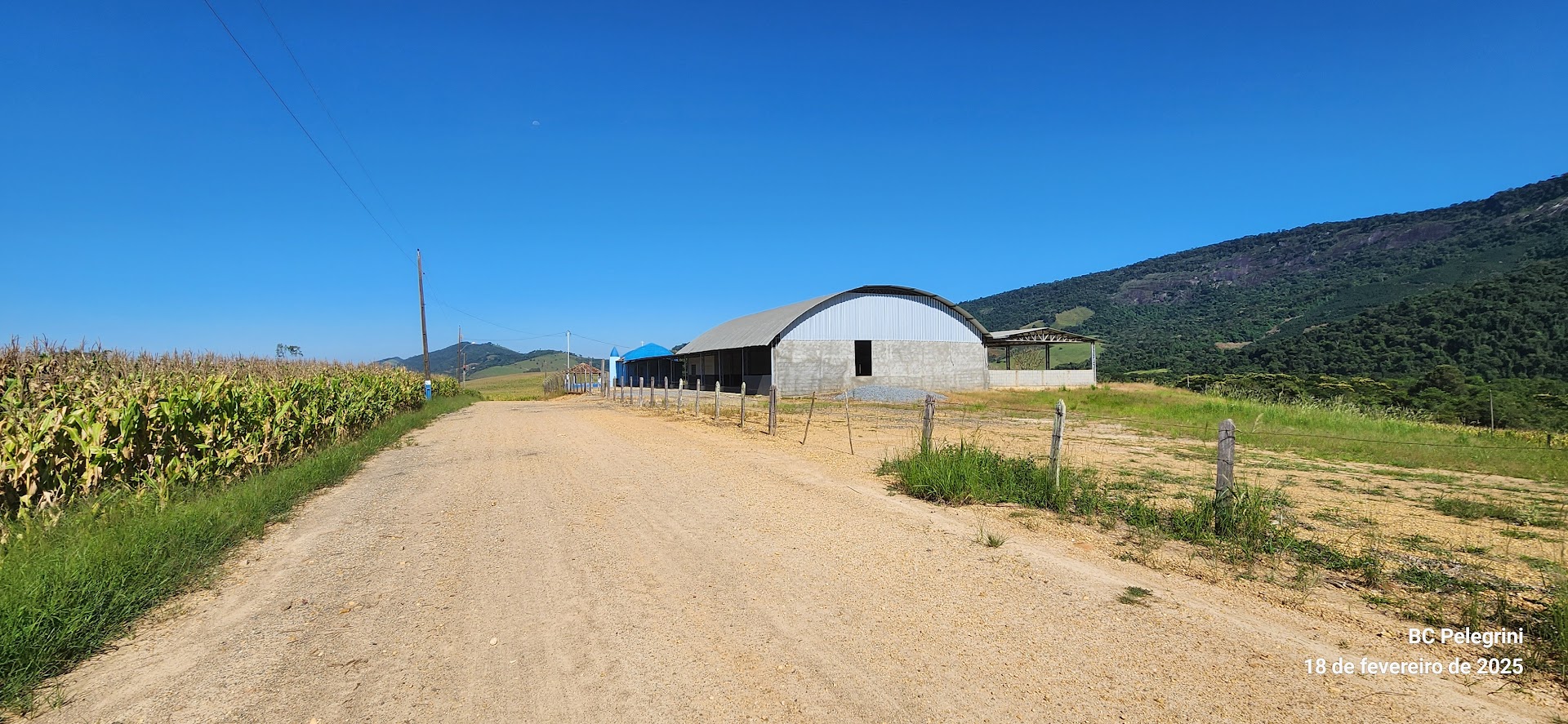 Fazenda à venda com 1 quarto, 1640000m² - Foto 7