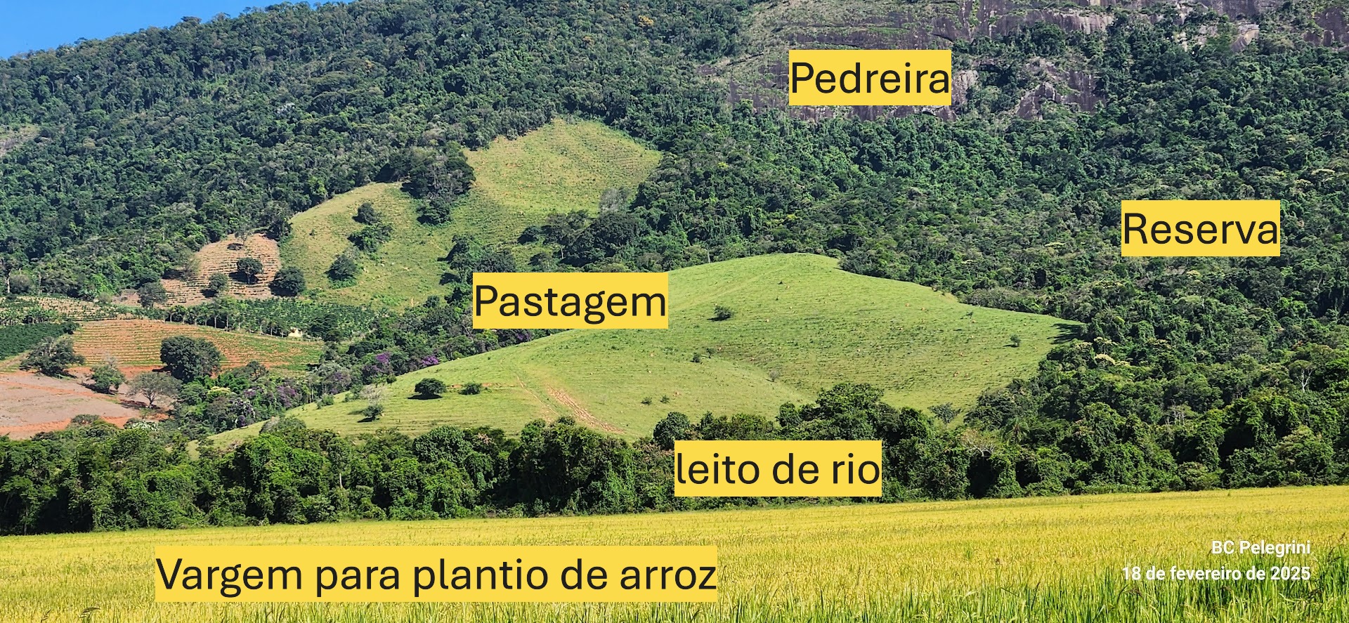 Fazenda à venda com 1 quarto, 1640000m² - Foto 10