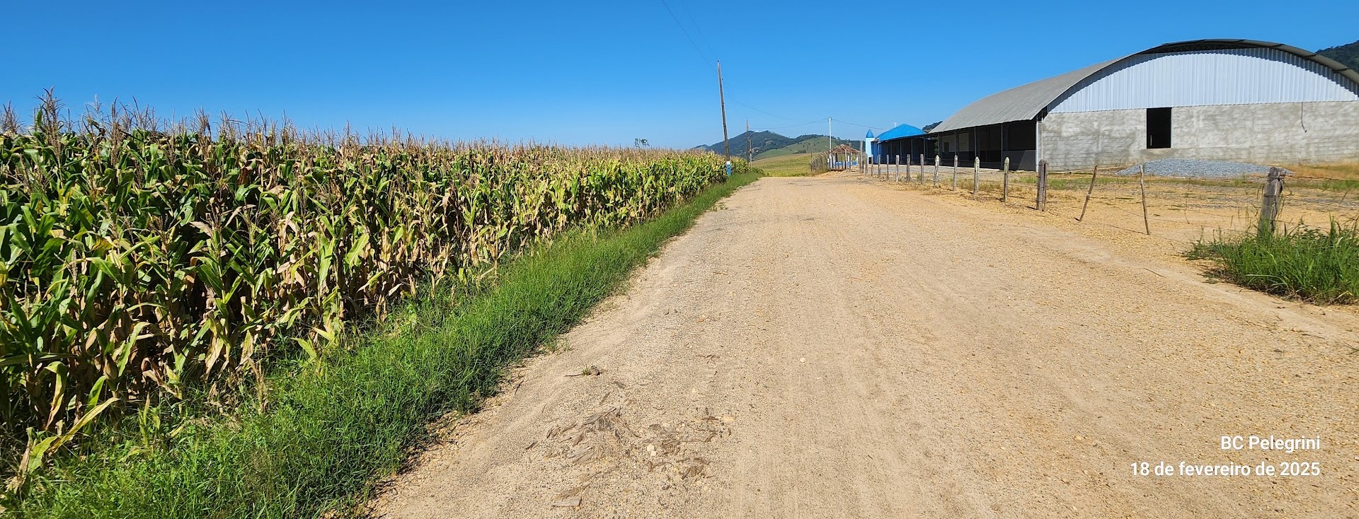 Fazenda à venda com 1 quarto, 1640000m² - Foto 6