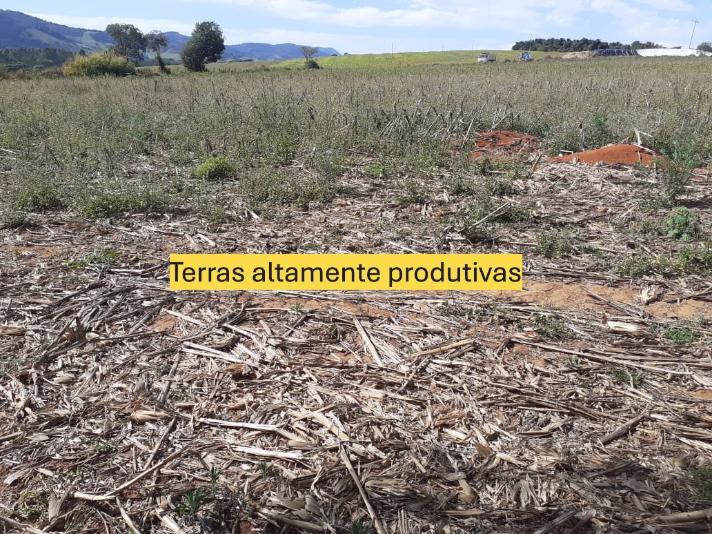 Fazenda à venda com 1 quarto, 1640000m² - Foto 13