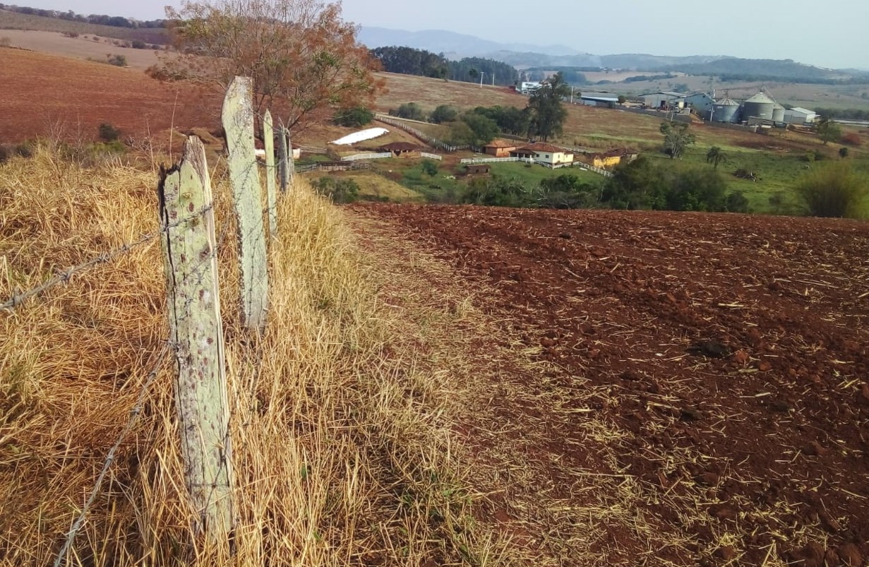 Fazenda à venda com 1 quarto, 1640000m² - Foto 25