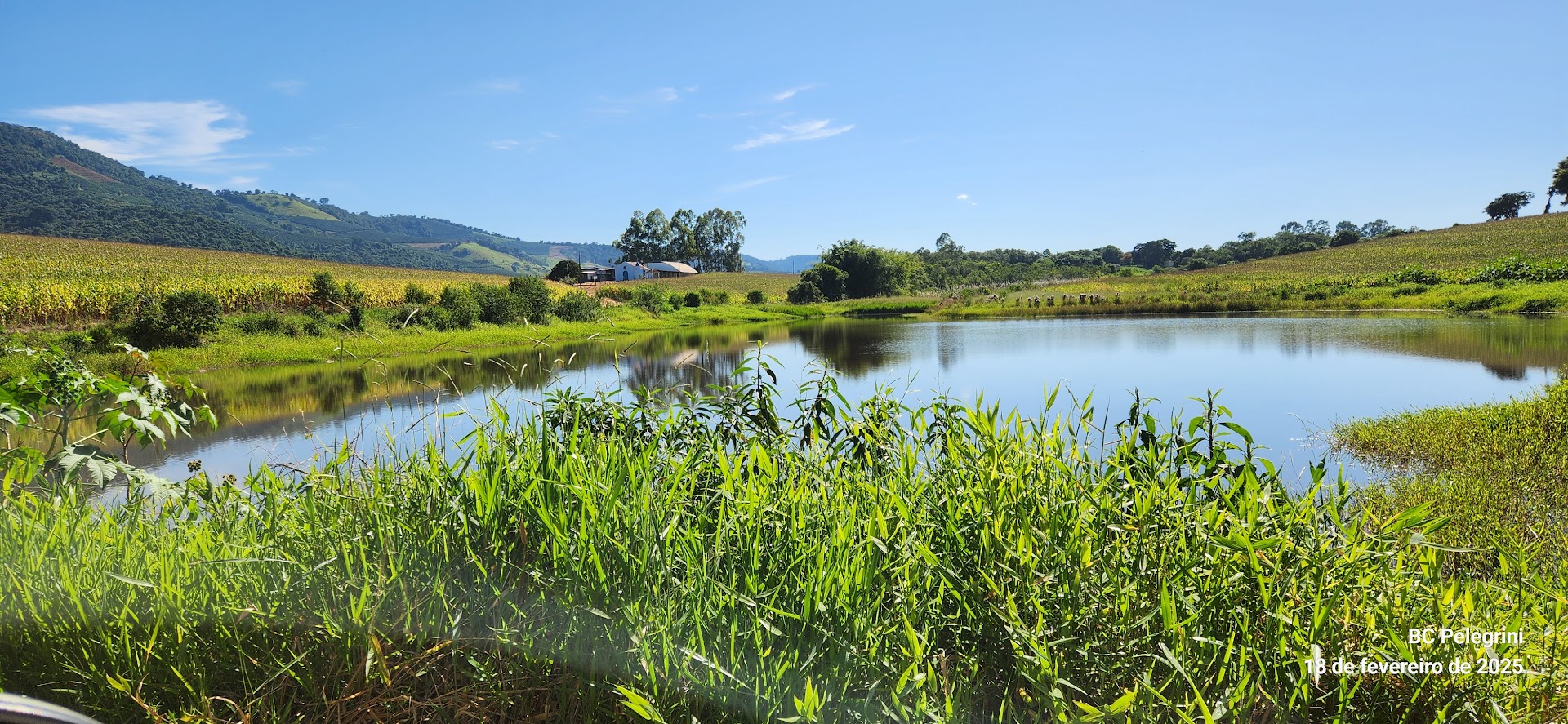 Fazenda à venda com 1 quarto, 1640000m² - Foto 9