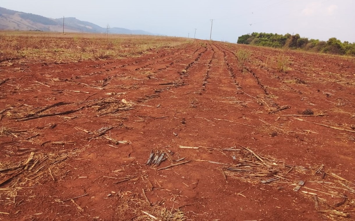 Fazenda à venda com 1 quarto, 1640000m² - Foto 14