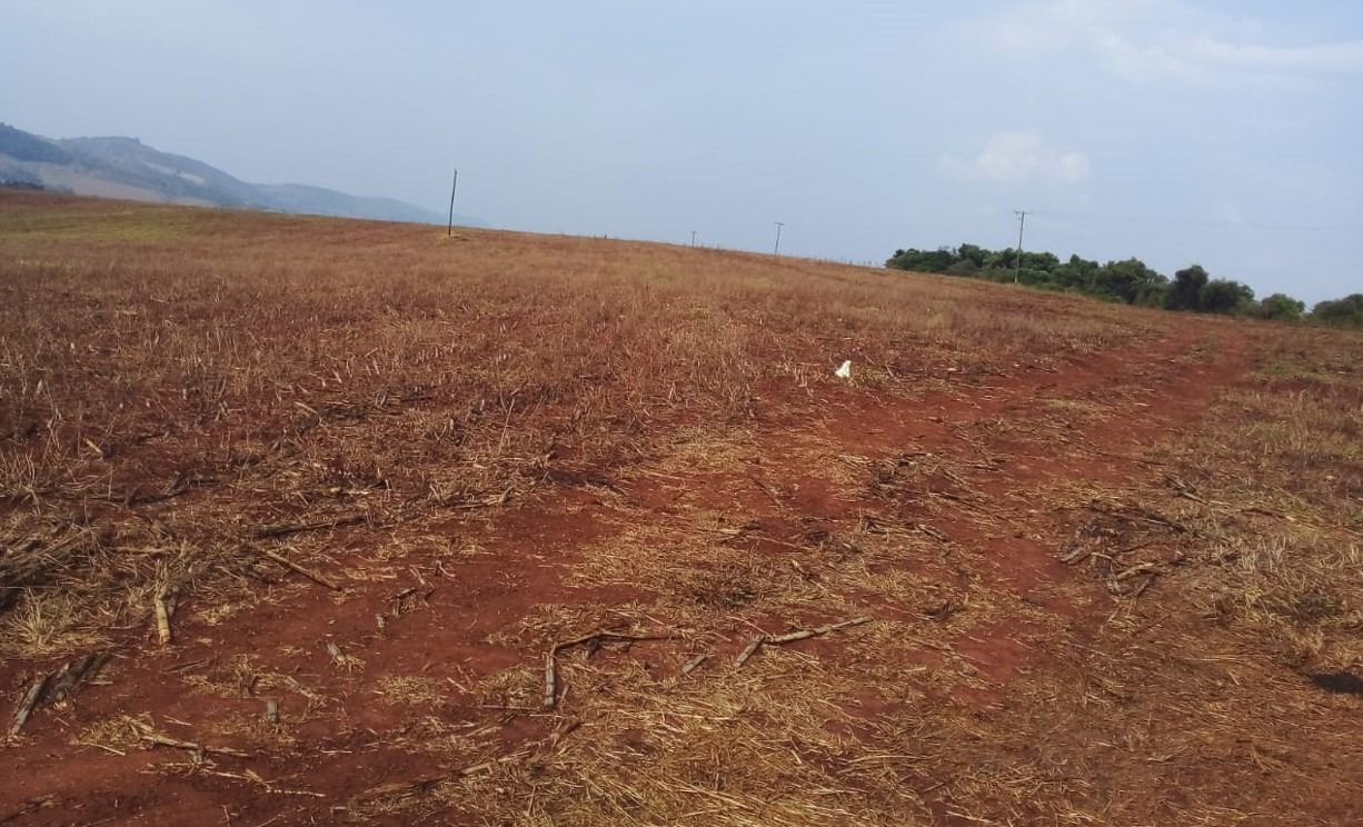 Fazenda à venda com 1 quarto, 1640000m² - Foto 12