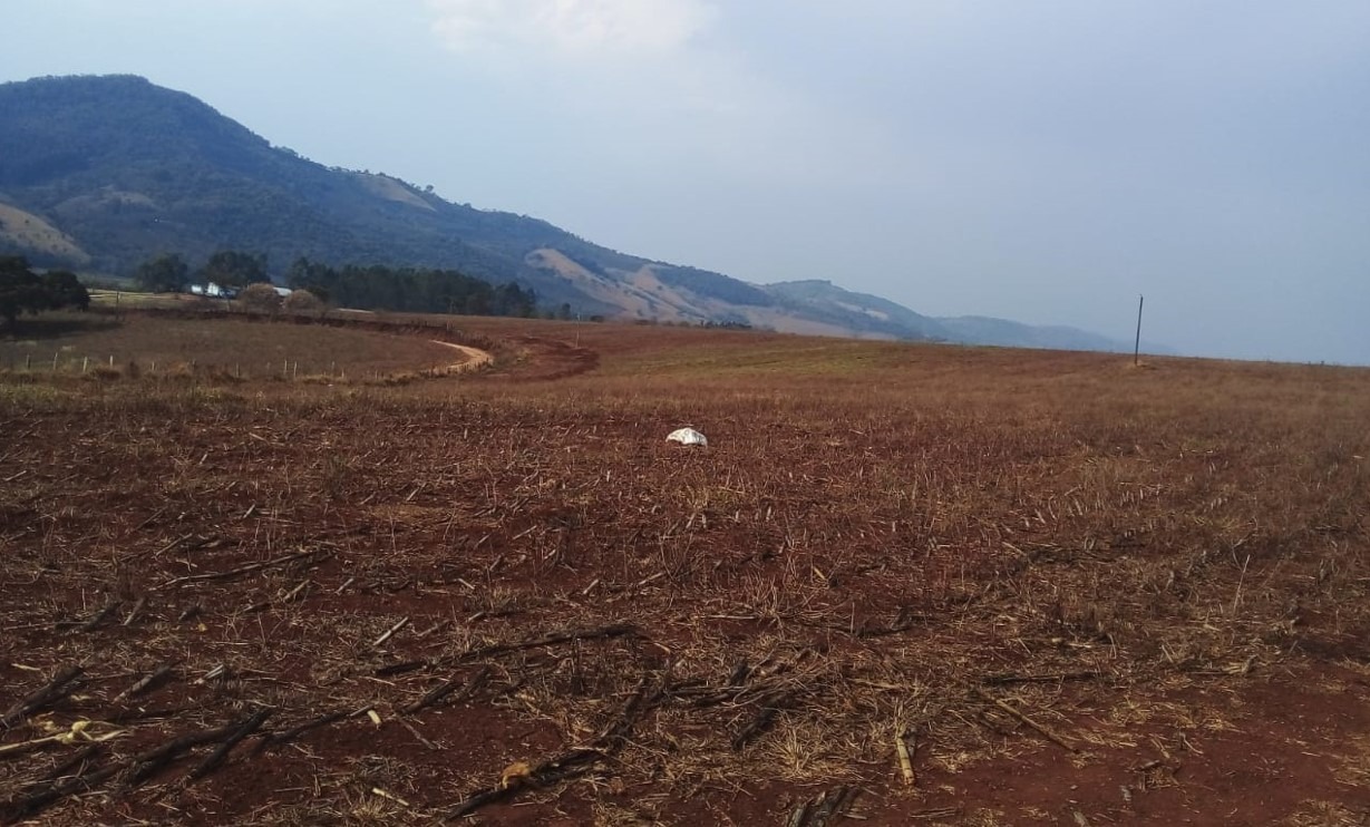 Fazenda à venda com 1 quarto, 1640000m² - Foto 15