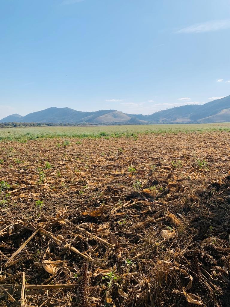 Fazenda à venda com 1 quarto, 1640000m² - Foto 19
