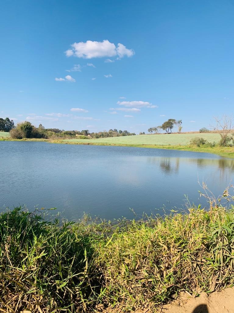 Fazenda à venda com 1 quarto, 1640000m² - Foto 20