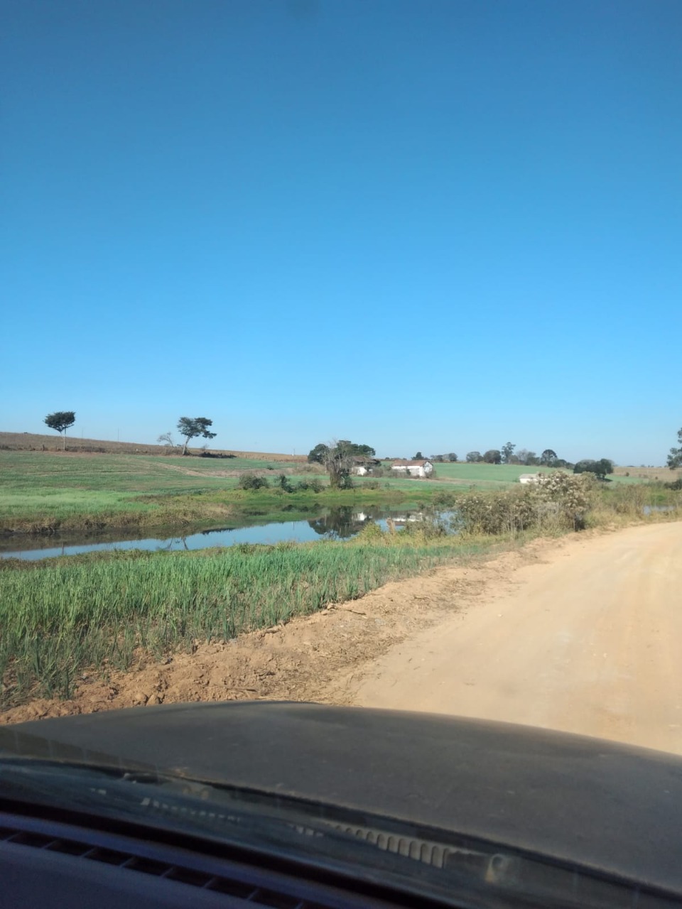 Fazenda à venda com 1 quarto, 1640000m² - Foto 21
