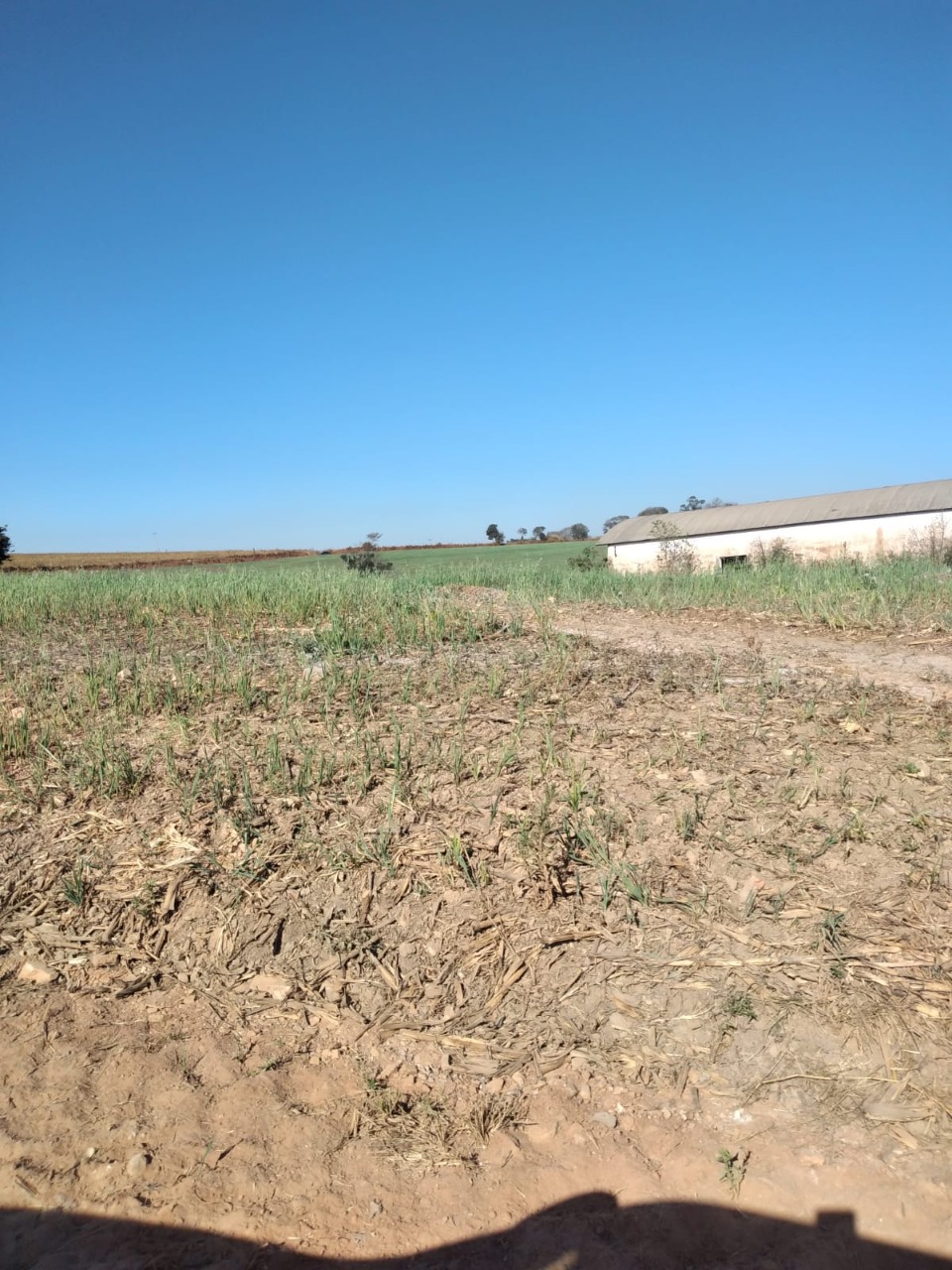 Fazenda à venda com 1 quarto, 1640000m² - Foto 22