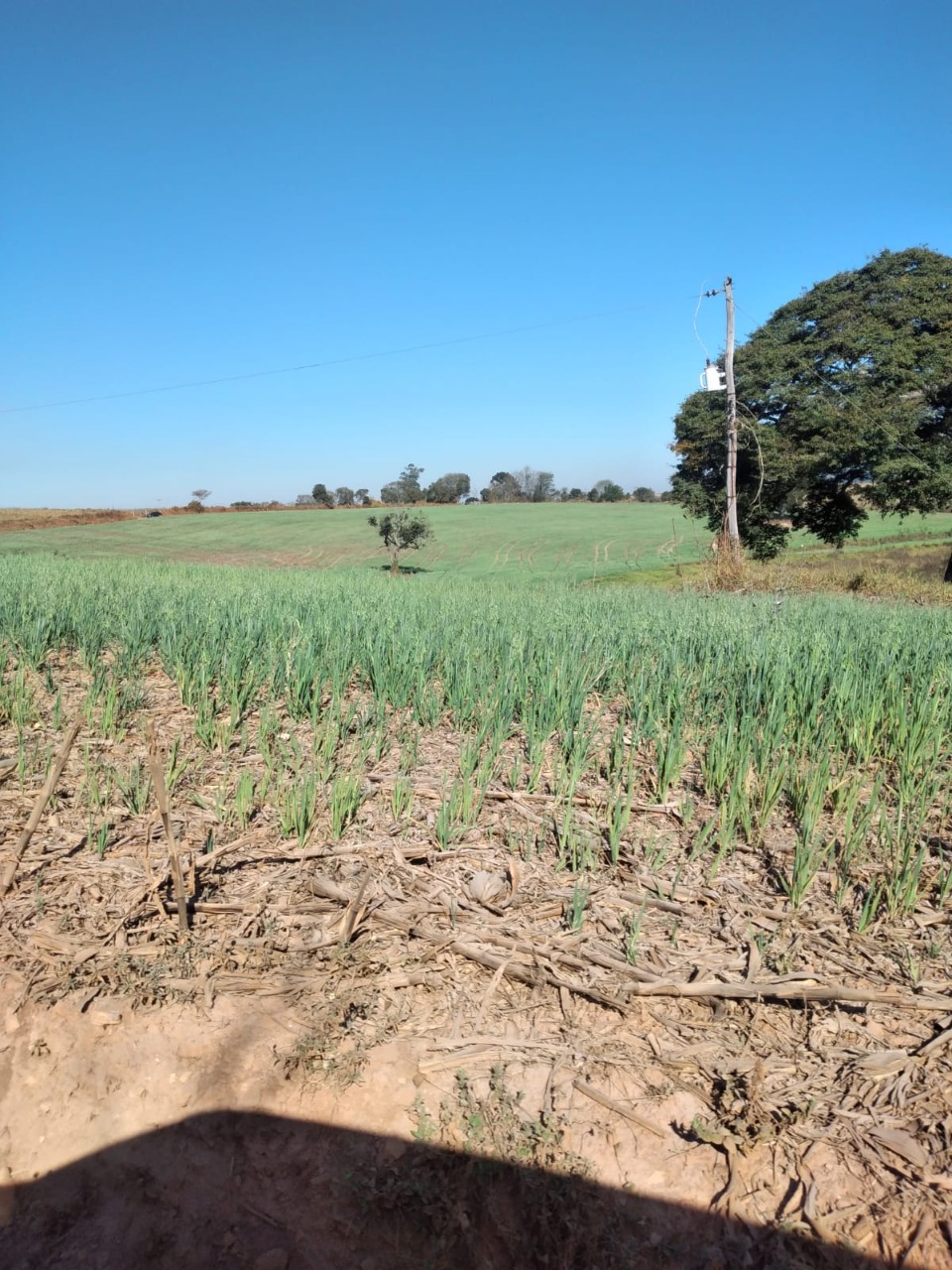 Fazenda à venda com 1 quarto, 1640000m² - Foto 23
