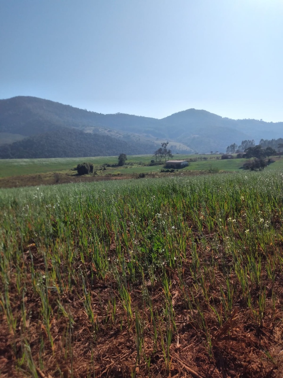 Fazenda à venda com 1 quarto, 1640000m² - Foto 17