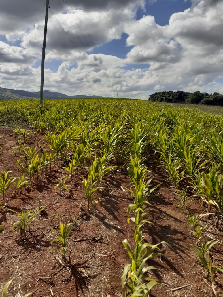 Fazenda à venda com 1 quarto, 1640000m² - Foto 18