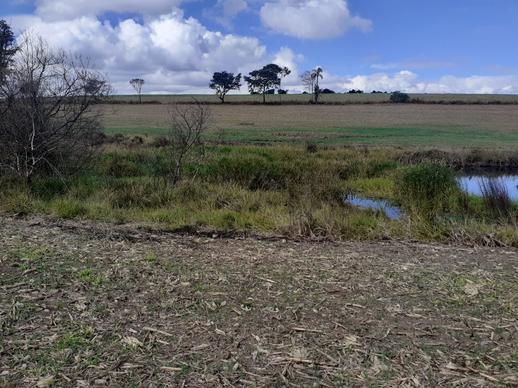 Fazenda à venda com 1 quarto, 1640000m² - Foto 16