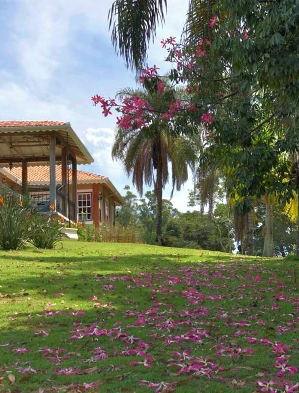 Sítio à venda com 3 quartos, 528m² - Foto 4