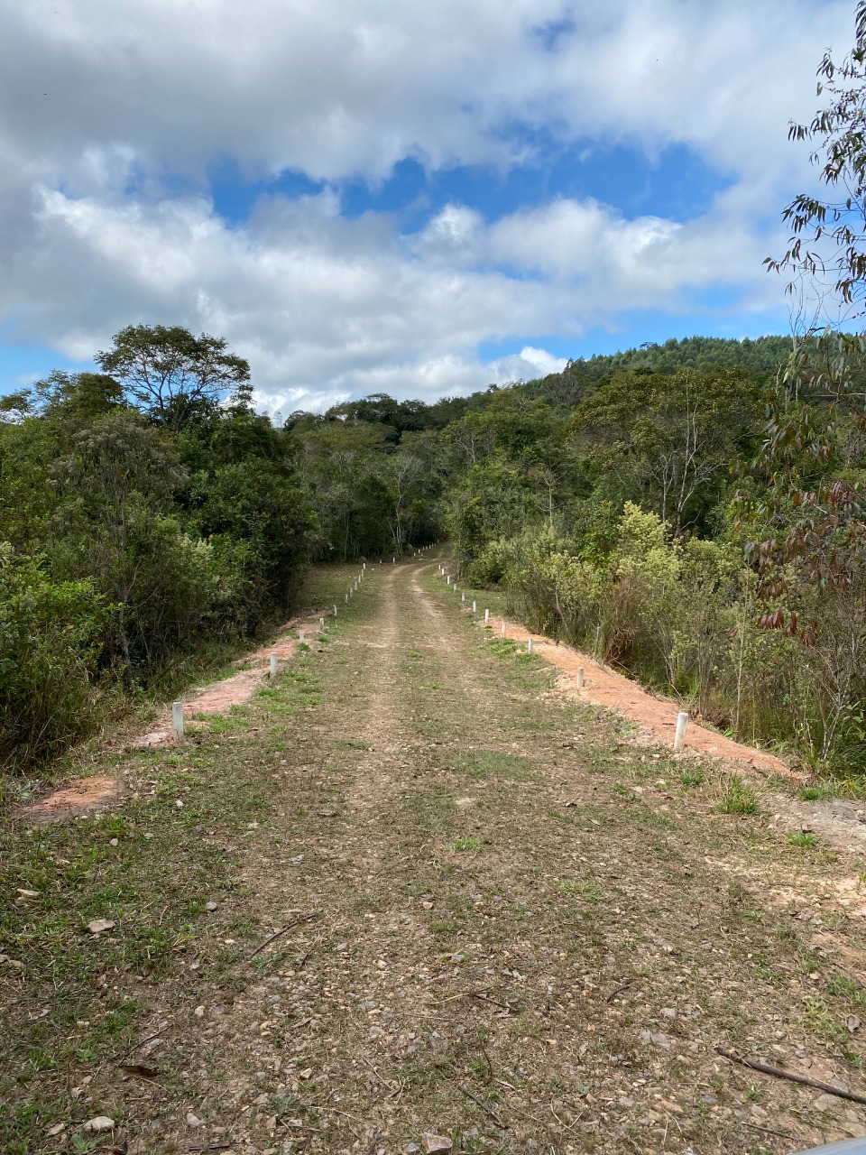 Sítio à venda com 1 quarto, 20000m² - Foto 12