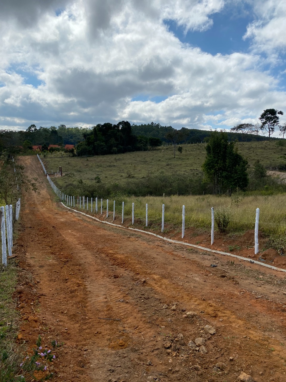 Sítio à venda com 1 quarto, 20000m² - Foto 3