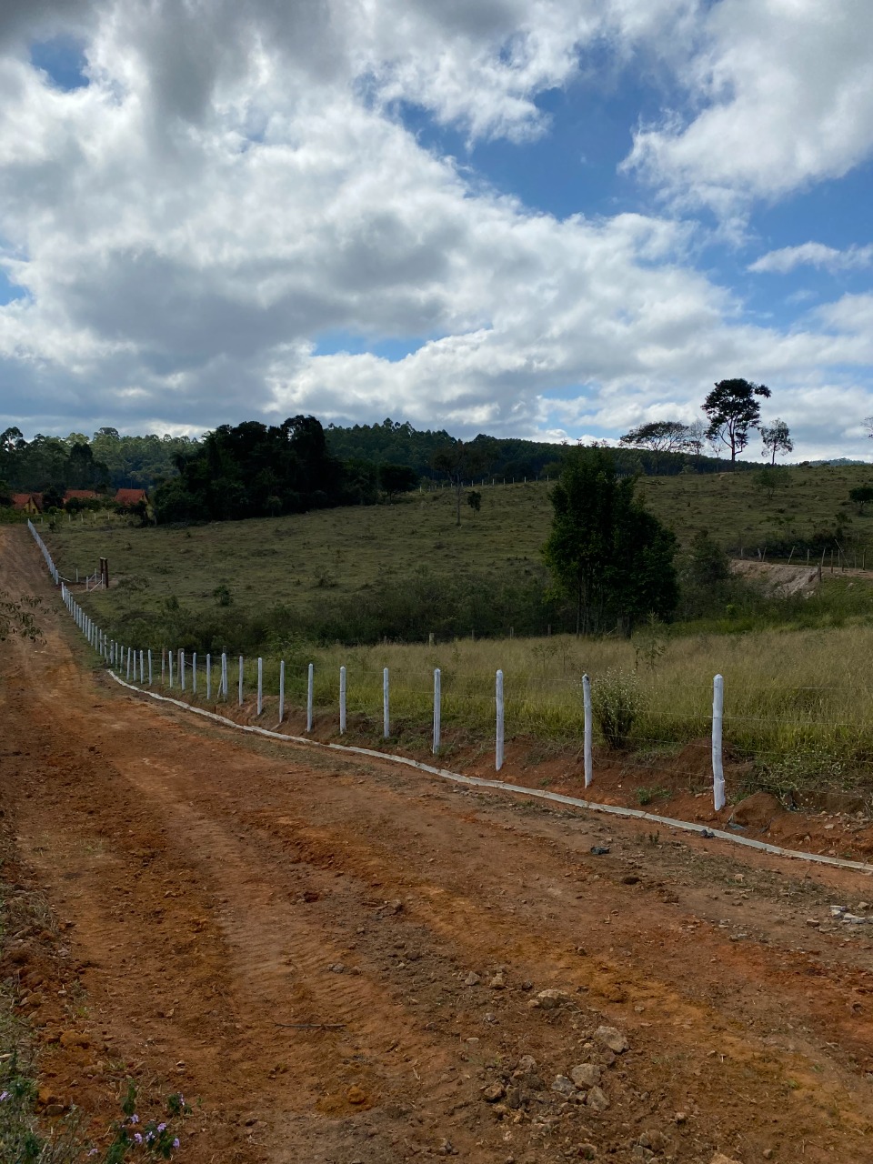 Sítio à venda com 1 quarto, 20000m² - Foto 13