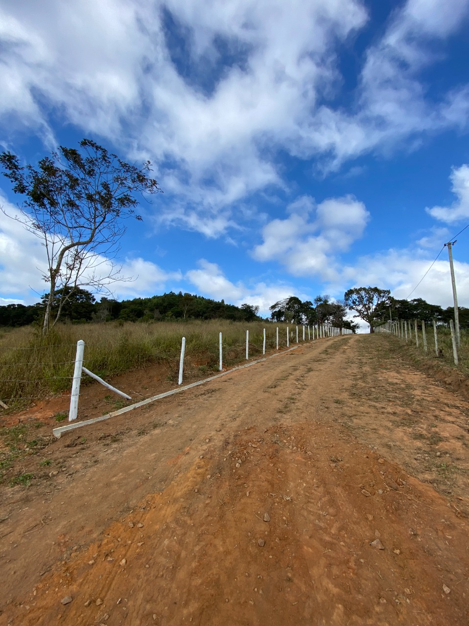 Sítio à venda com 1 quarto, 20000m² - Foto 11