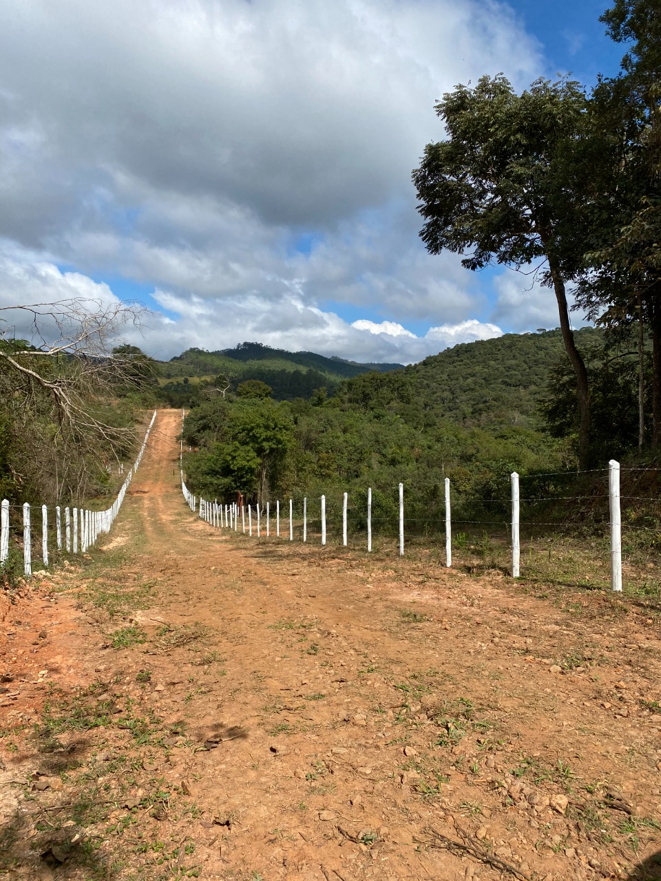 Sítio à venda com 1 quarto, 20000m² - Foto 18