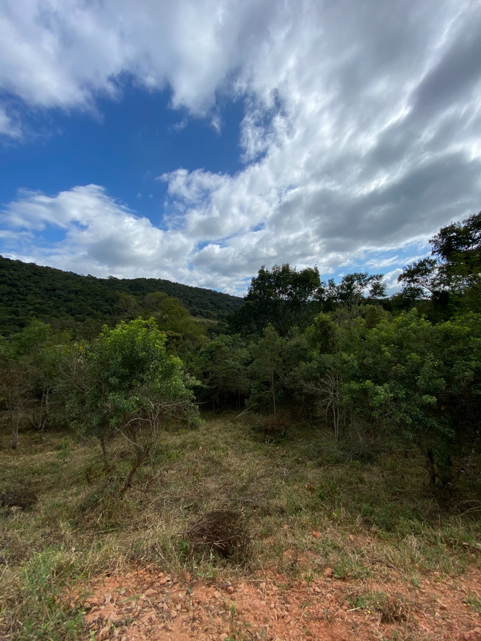 Sítio à venda com 1 quarto, 20000m² - Foto 7
