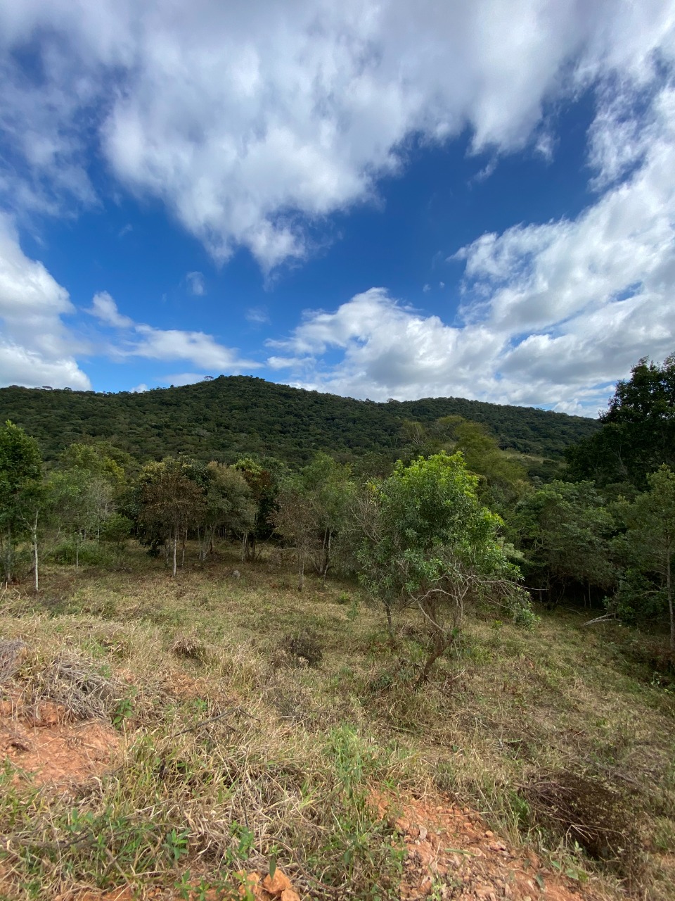 Sítio à venda com 1 quarto, 20000m² - Foto 6