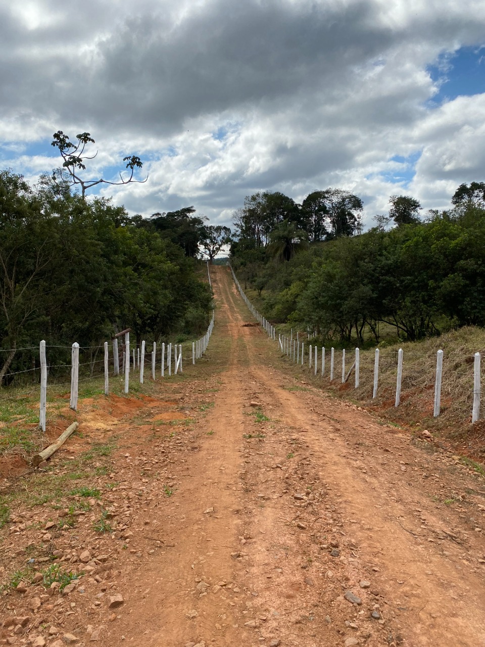 Sítio à venda com 1 quarto, 20000m² - Foto 8