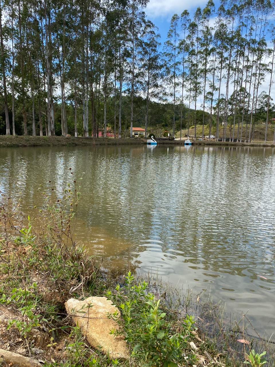 Sítio à venda com 1 quarto, 20000m² - Foto 16