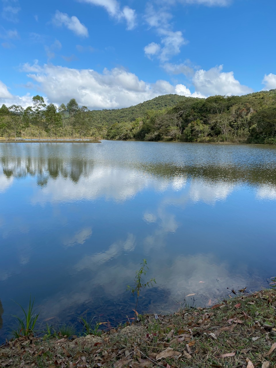 Sítio à venda com 1 quarto, 20000m² - Foto 10