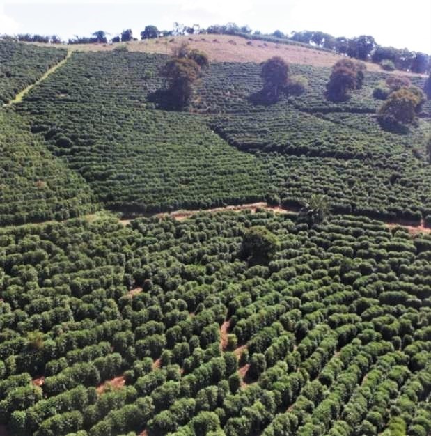 Fazenda à venda com 5 quartos, 1010000m² - Foto 2