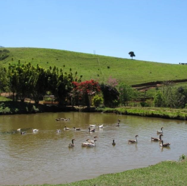 Fazenda à venda com 5 quartos, 1010000m² - Foto 8