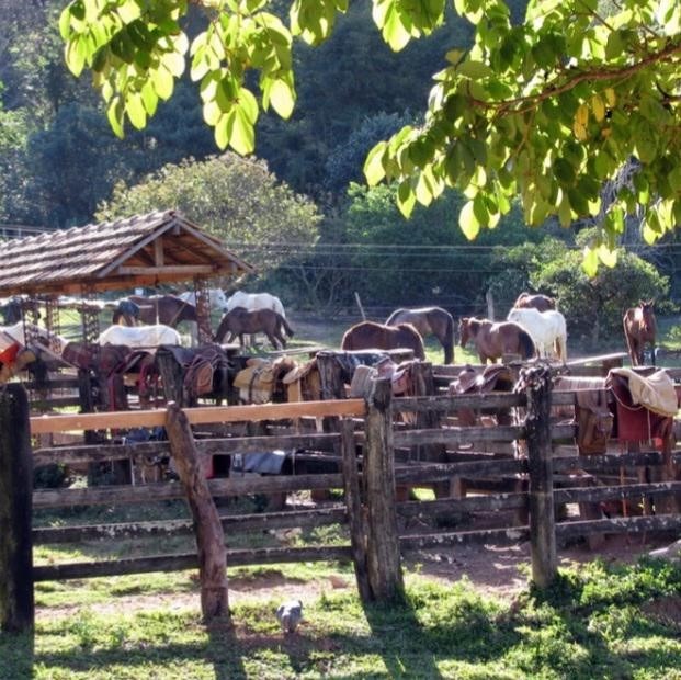 Fazenda à venda com 5 quartos, 1010000m² - Foto 14