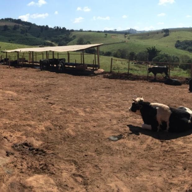 Fazenda à venda com 5 quartos, 1010000m² - Foto 19