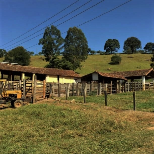 Fazenda à venda com 5 quartos, 1010000m² - Foto 24