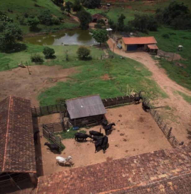 Fazenda à venda com 5 quartos, 1010000m² - Foto 20