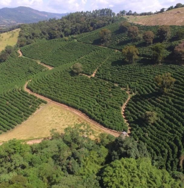 Fazenda à venda com 5 quartos, 1010000m² - Foto 1