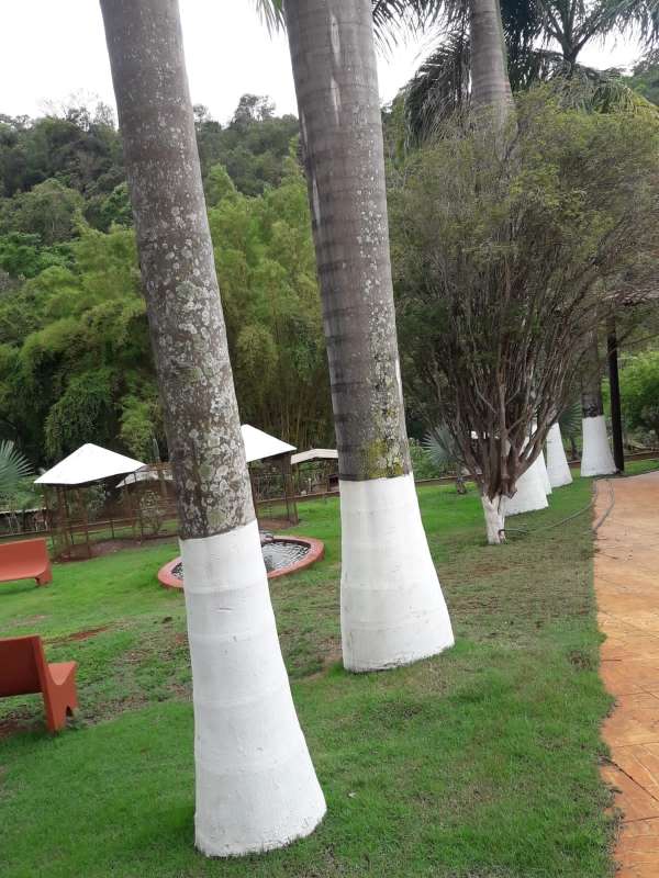 Sítio à venda com 6 quartos, 14000m² - Foto 2
