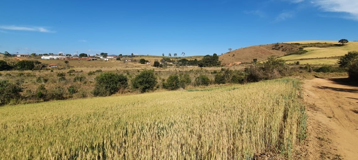Fazenda à venda com 6 quartos, 4578000m² - Foto 5