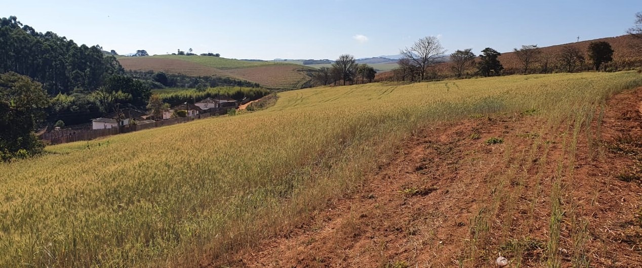 Fazenda à venda com 6 quartos, 4578000m² - Foto 7