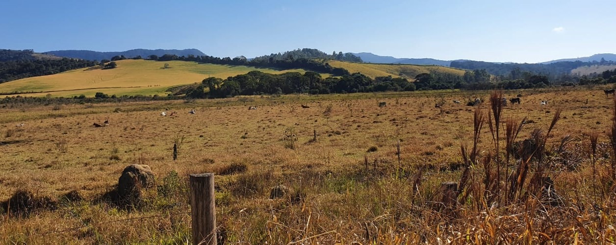 Fazenda à venda com 6 quartos, 4578000m² - Foto 8