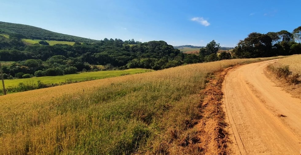 Fazenda à venda com 6 quartos, 4578000m² - Foto 11
