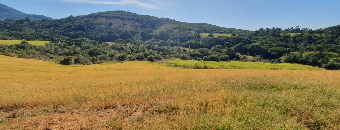 Fazenda à venda com 6 quartos, 4578000m² - Foto 10