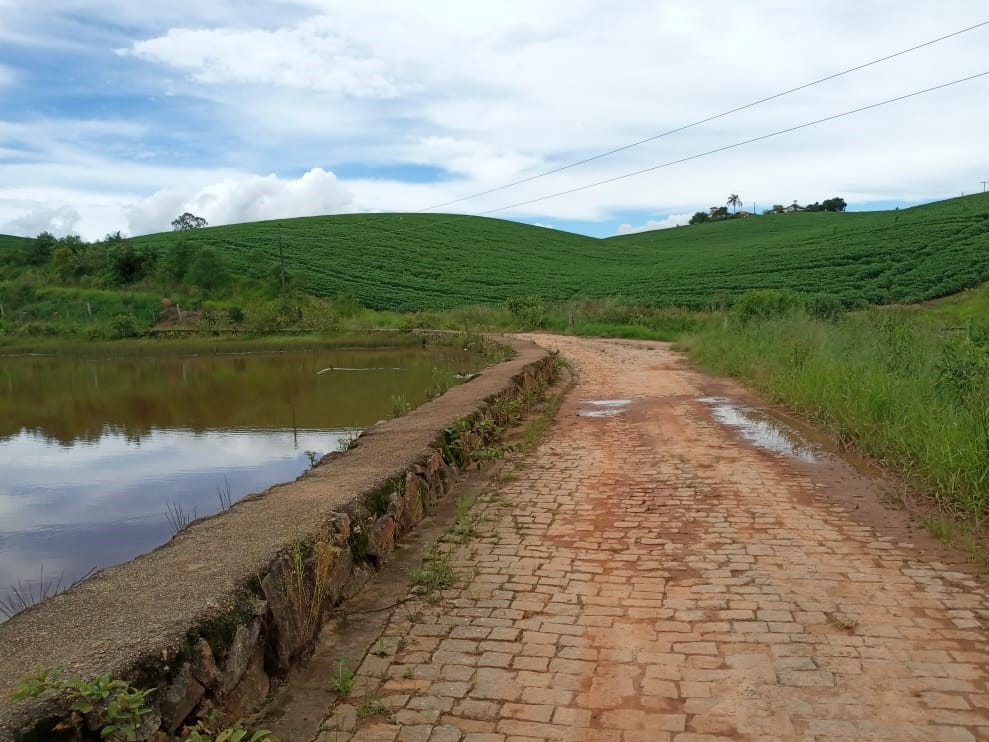 Fazenda à venda com 6 quartos, 4578000m² - Foto 16