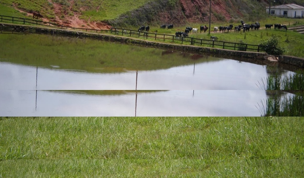 Fazenda à venda com 6 quartos, 4578000m² - Foto 15