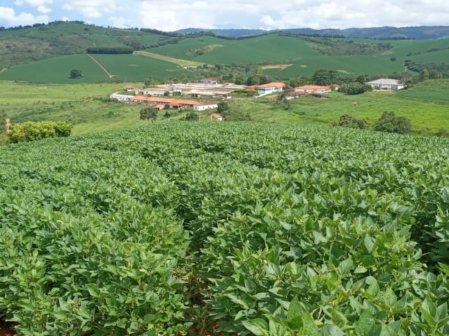 Fazenda à venda com 6 quartos, 4578000m² - Foto 1
